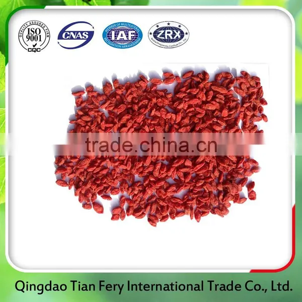 China Good Quality Certified Goji Berries photo-3