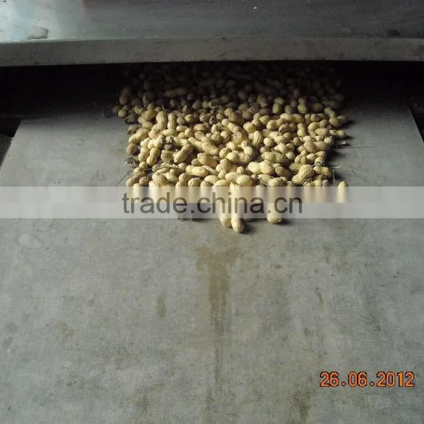 High Quality Conveyor Belt Microwave Peanuts Dryer and Roaster Machine photo-2