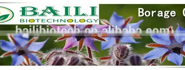 Organic Borage Oil (Omega 6 Series)vegetable Oil photo-3