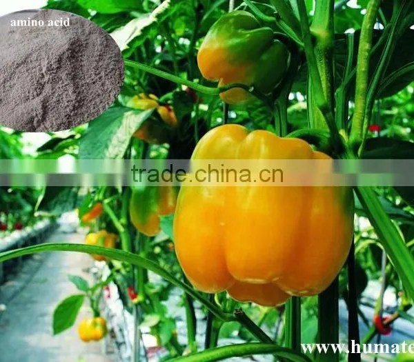 Gibberellin Amino Acids and Fulvic Acid Liquid Fertilizer photo-6