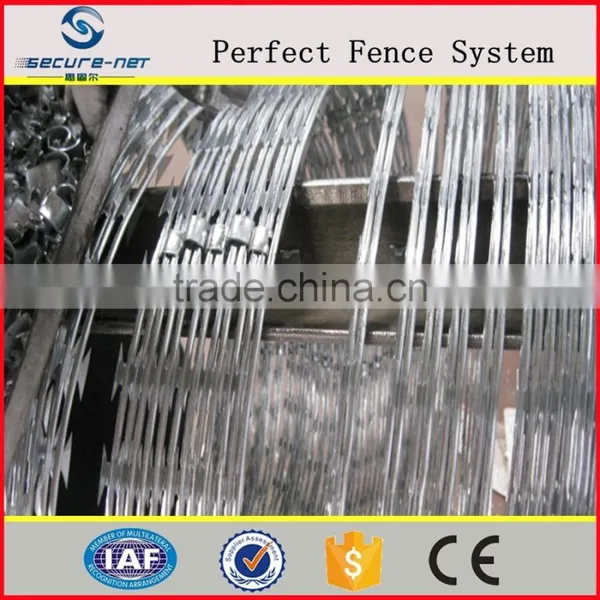 China Factory High Quality BTO CBT Razor Barbed Wire photo-3