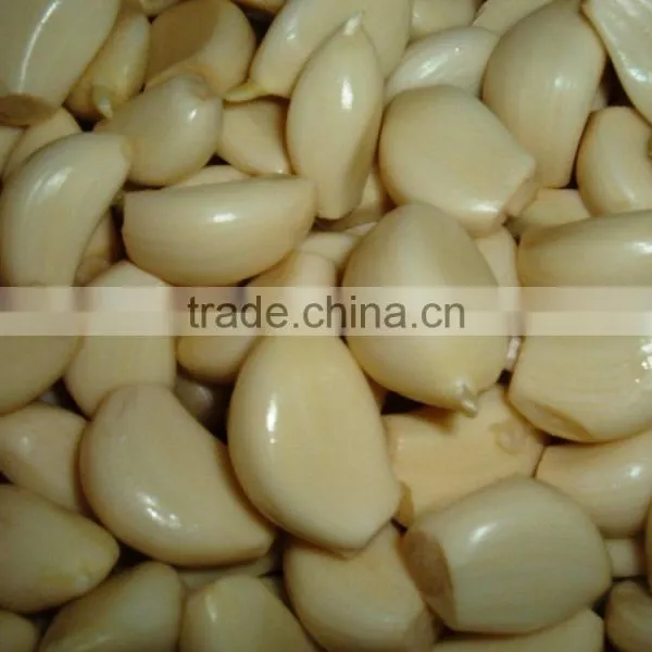 Garlic Separating Peeling Machine Processing Machine Production Line photo-4