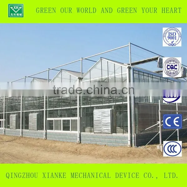 Multi-span Hydroponic Greenhouse photo-2