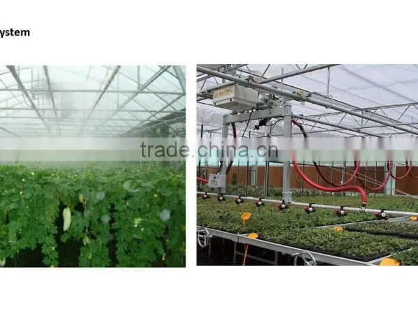 BaoLiDa pc Shed Greenhouse Hot-dip Galvanized Steel Pipe Structure for Roses photo-2
