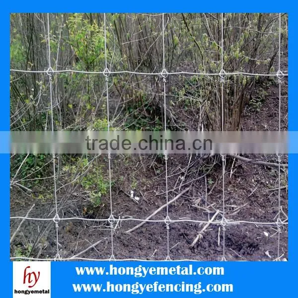 China Manufacturer Cheap Cattle Fence And Hinge Joint Field Fence( OEM&ODM ) photo-6