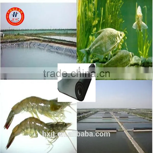 Swimming Pool /Shrimp Pond HDPE Geomembrane Liner(ASTM) photo-3