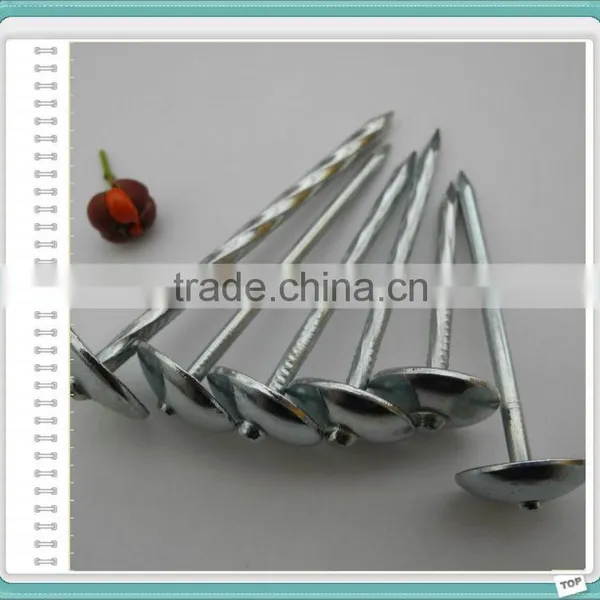 Galvanized Roofing Nails for Turkey Market photo-5