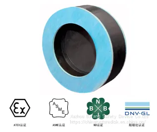 PM ,Flat Rupture Disc Device,bursting Disc,
