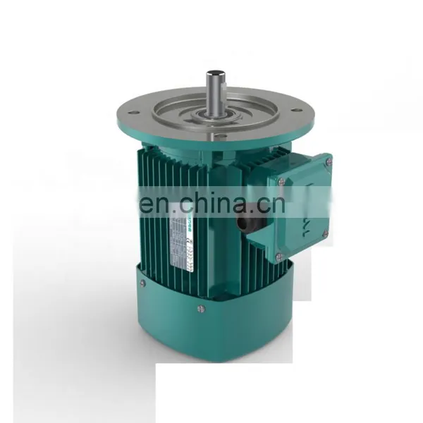 YE2 Series Industrial Electric Motor High Speed Three Phase Induction Motor for Machinery Asynchronous Motor photo-3