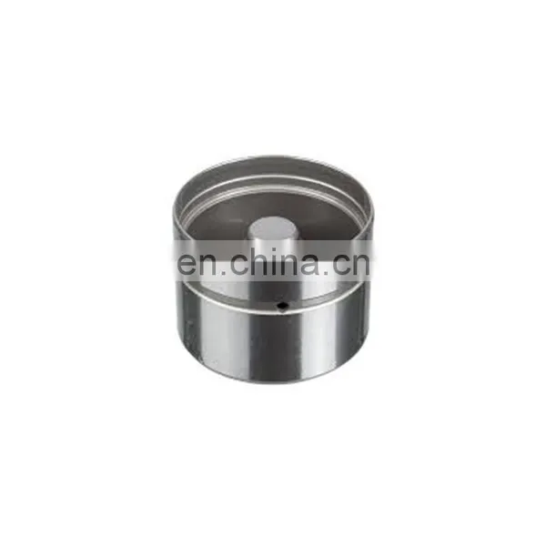 China Wholesale Small Volume Valve Tappet Noise 9169566 9186073 91 86 073 9134420 91 34 420 9357716 93 57 716 For Renault photo-2