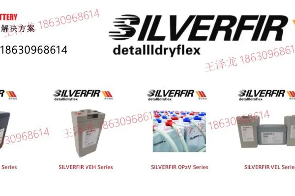 DEU SILVERFIR BATTERY 2VEG600 220V600Ah EPS