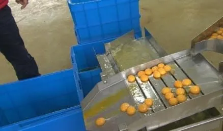 Egg Powder Processing Egg Yolk Drying Machine photo-2