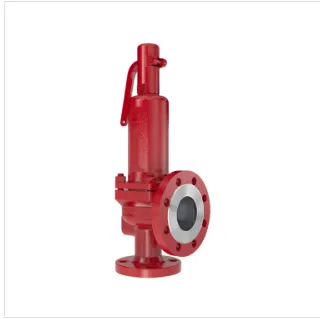 LESER Safety Valve 4241 Spring Loaded Pressure Relief Safety Valve