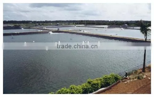 HDPE Geomembrane(1.0mm) for Fish Pond or Landfill Projects photo-3