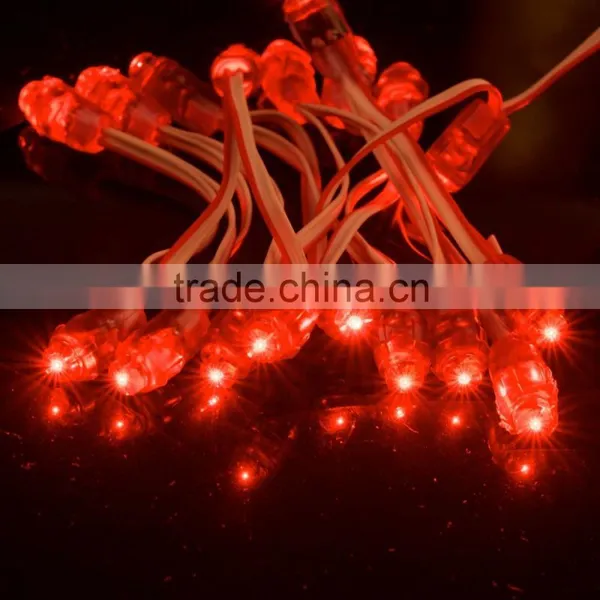 Express Micro Led String Lights photo-3
