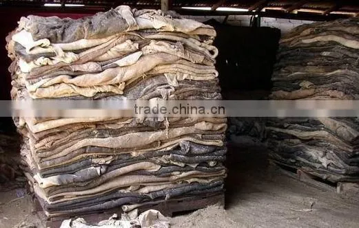 WET SALTED HIDES