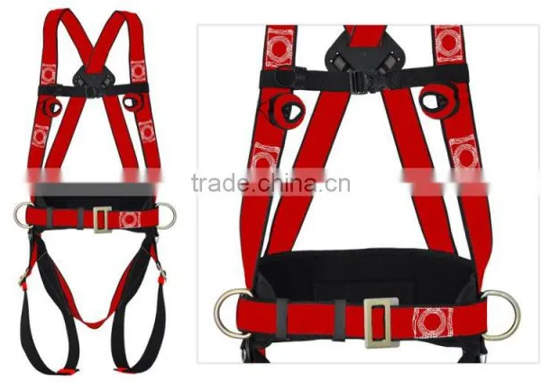 BODY HARNESS