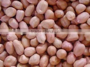 Chinese Peanut Kernels Baisha for Sale photo-6