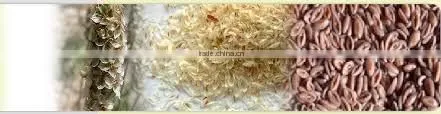 Psyllium Husk photo-4
