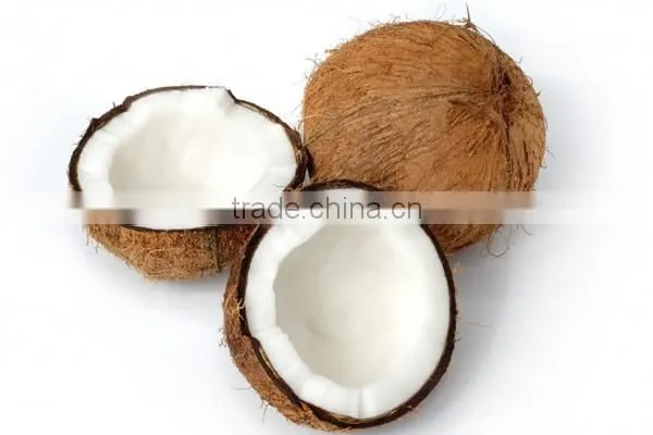 Bulk Sale for Semi Husked Coconuts photo-2