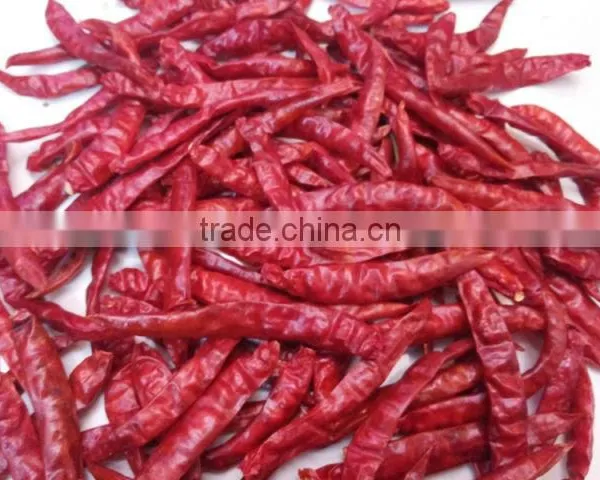 Premium Quality Indian Dry Red Chilli Exporters photo-2