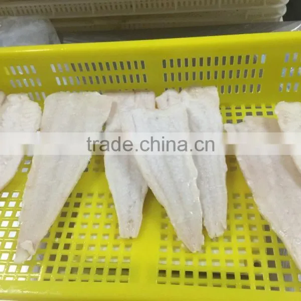 Frozen Alaska Pollock Fillet