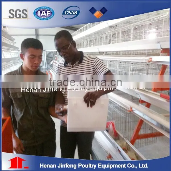 Poultry Chicken Equipment A Type Egg Chicken Cage Hot Sale photo-4