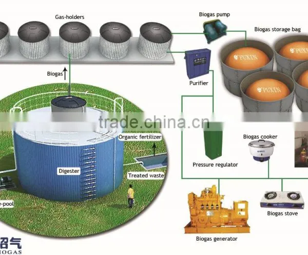 PUXIN Recycle Small Sewage Treatment Plant Machine for Slaughter House Waste photo-3