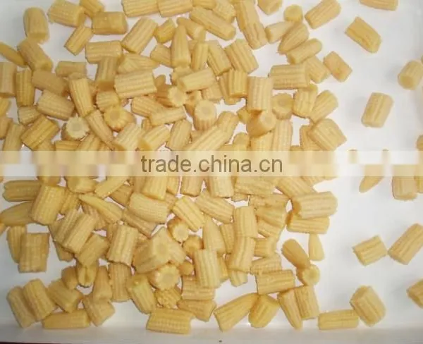 Fresh Baby Corn Cut From Vietnam photo-5