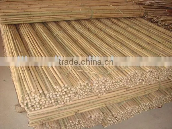 Tonkin bamboo cane (HL-TBC-04)
