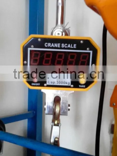 Crane Scale