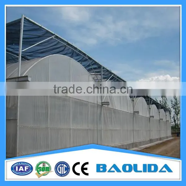 Multi-span Tunnelgreenhouse for Fruit photo-3