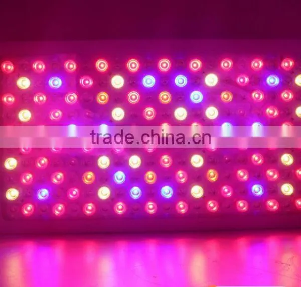 Hot Selling 300w 600w 1000w Panel Lights 5w Epistar Chips (200x5w) Full Spectrum Indoor Greenhouse Led Light photo-4