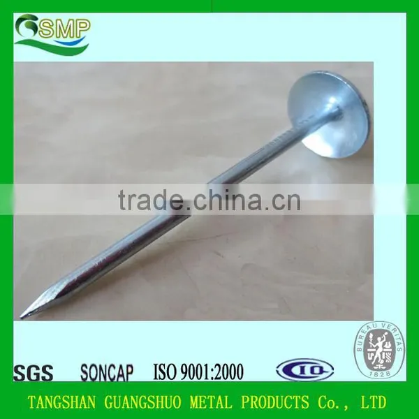 Common Nails/Concrete Steel Nail/Roofing Nail China Manufacturer photo-6
