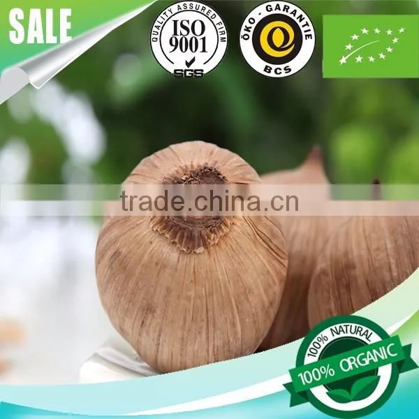 2016 Hot Sale Natural Green Food Fermented Black Garlic Single Bulb China photo-4