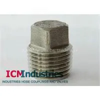 Forged 3000lb Stainless Steel Square Plug