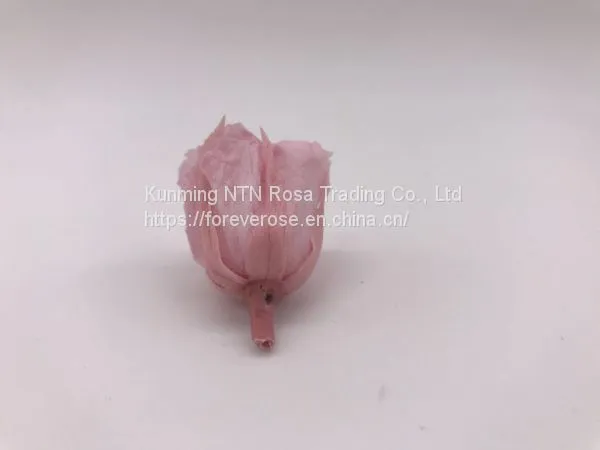 Preserved Rose for Wedding Festival Decoration photo-3