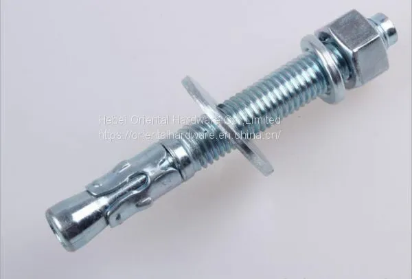 Good Quality Wedge Anchors Through Bolt Manufacturer in China photo-2