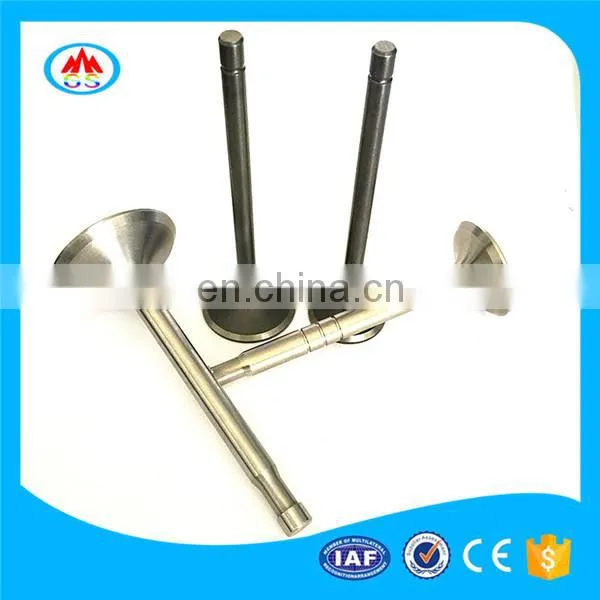 Manufacturer of Engine Valve for Nissann B3 Tsuru photo-5