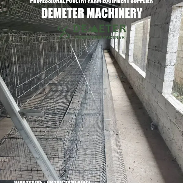 China Chicken Cage Factory Offer Good Quality Poultry Equipment--Demeter Machinery photo-2