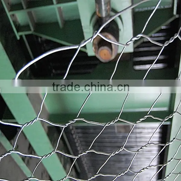 Gold Supplier Hexagonal Wire Netting(ISO and SGS) photo-2
