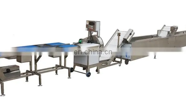 Rood Leaf Vegetables and Fruits Carrot Radish Apple Washing Cutting Packing Processing Machines Plant photo-3