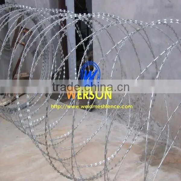 Razor Wire photo-4