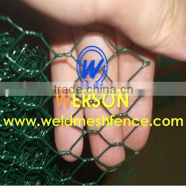 PVC Coated Poultry Netting photo-6