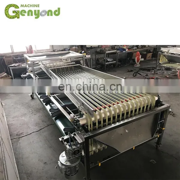 Custom Fresh Medjool Dates Sorting Machine for Vegetable and Fruit Sorter photo-2
