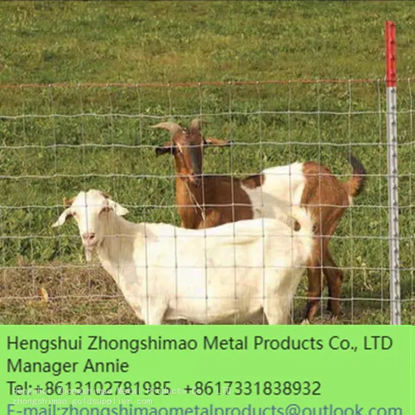 Grassland Fence/Field Fence/Galvanized Steel Mesh/ stock Fencing Wire/Cattle Fence photo-2