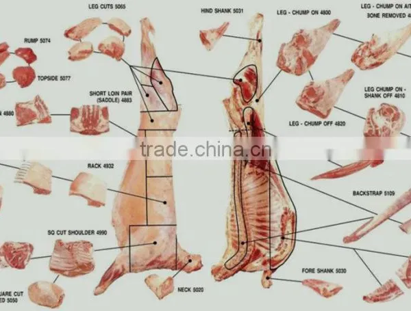 Frozen Lamb and Mutton Meat photo-4