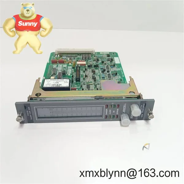 Shinkawa VM-5N SST-2194-001-P001G: Dual Vibration Monitor That Actually Catches Problems Early photo-3