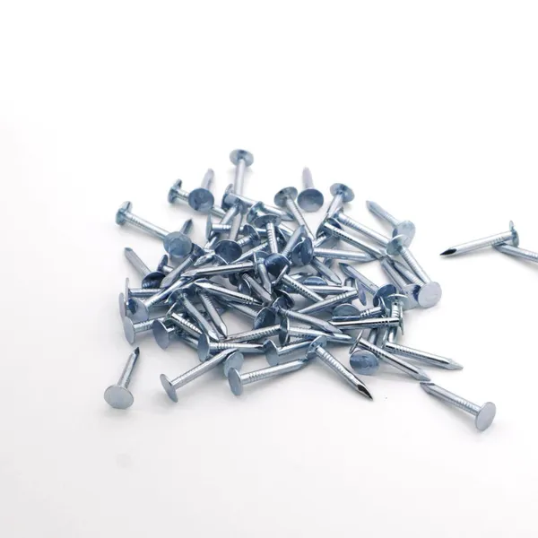 POWER Steel Roofing Felt Nails Supplier 20mm Length for Ceiling Installation photo-2