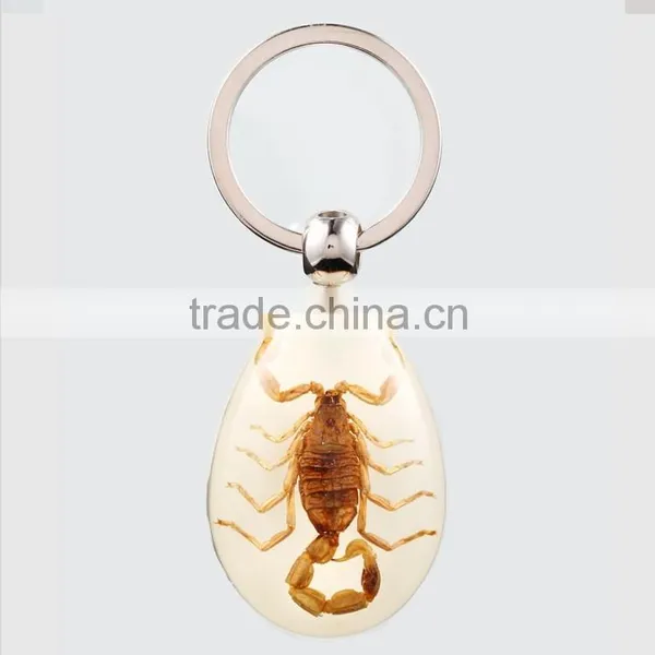 2016 New Spide Keychain With Real Insect photo-4